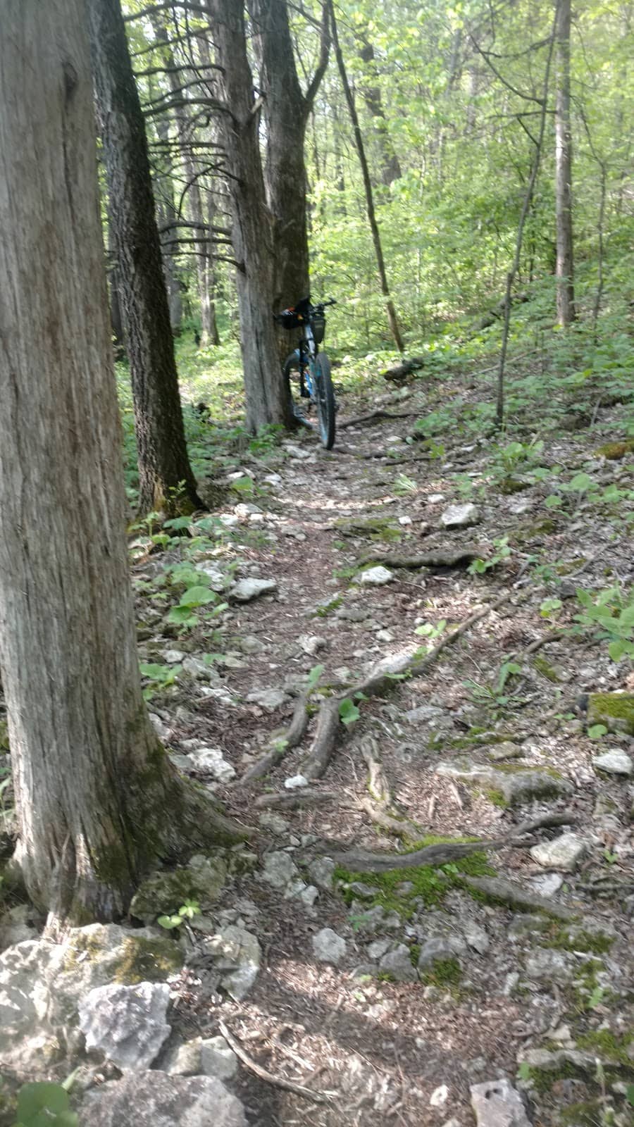 Upper Iowa River Bluffs