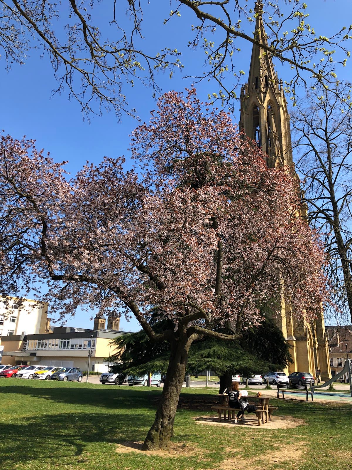 Île de Chambière - Image 1