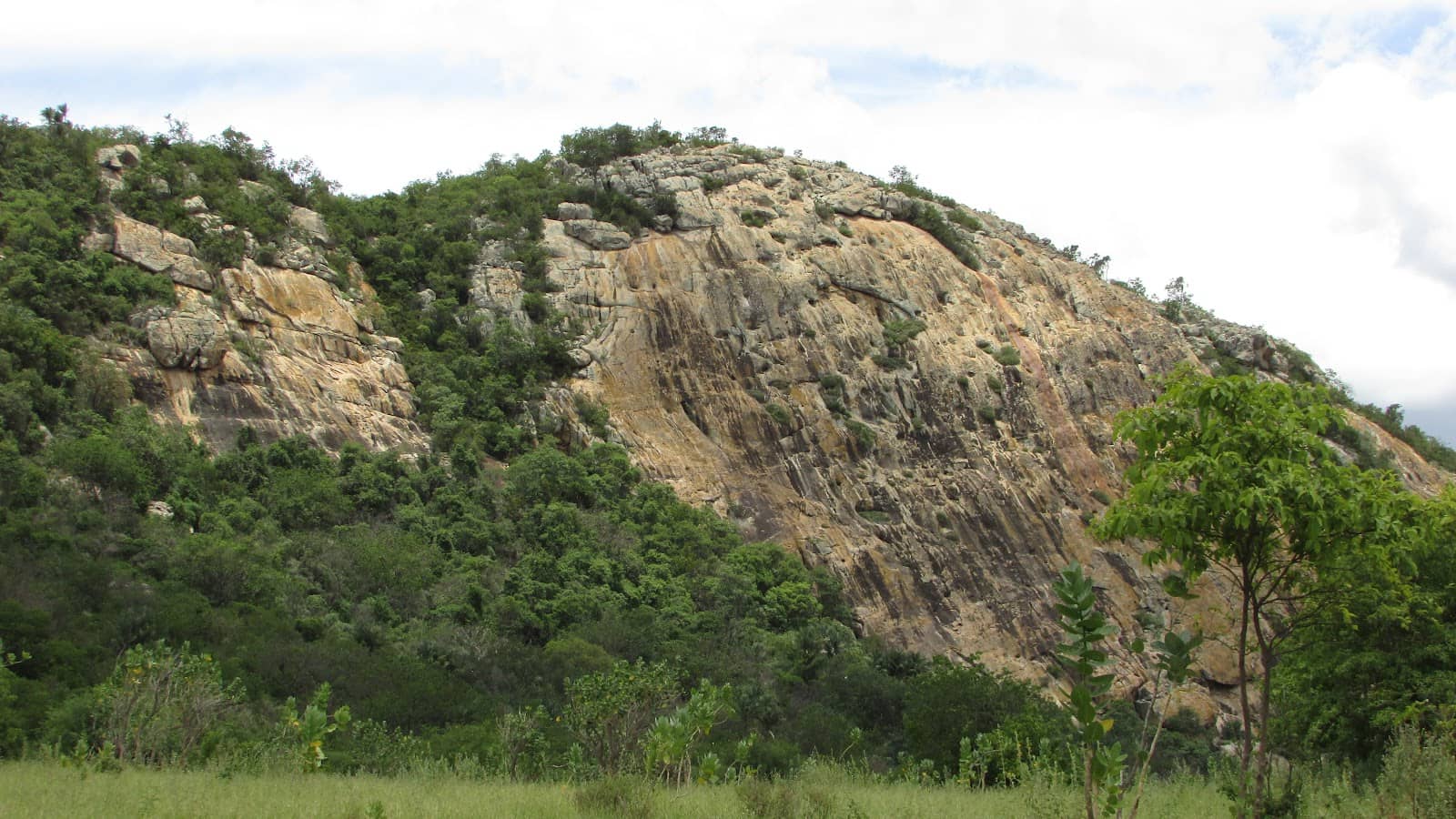 Ecological Trails