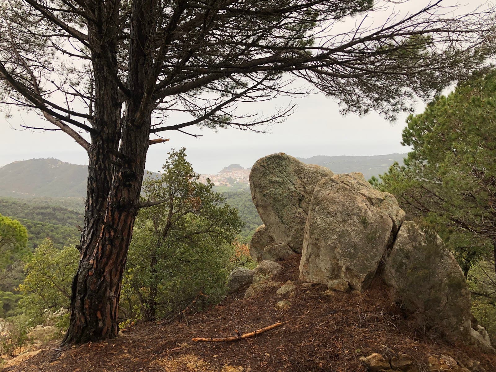 Ardenya-Cadiretes Natural Area - Image 1