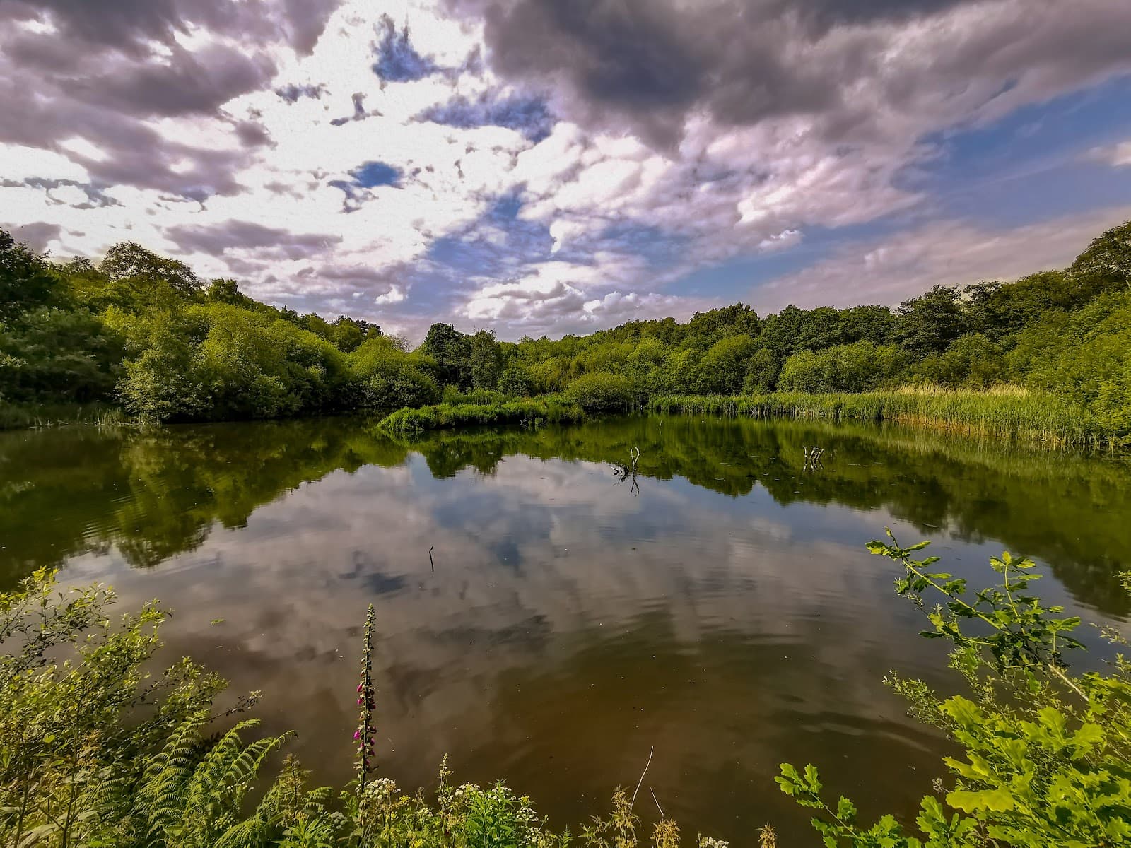 Adel Dam Nature Reserve - Image 1