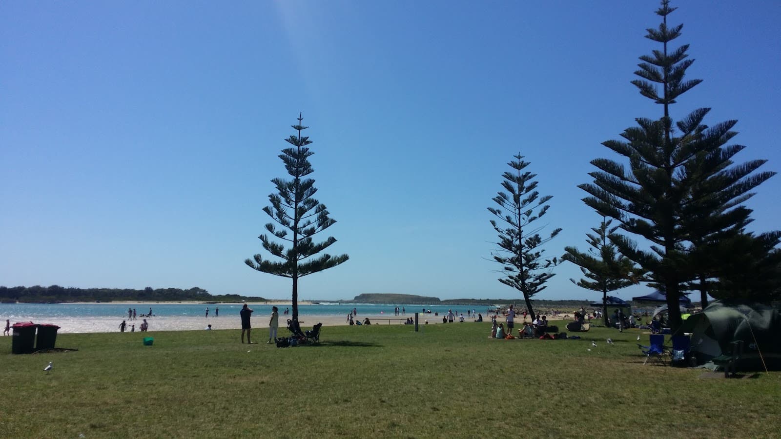 Reddall Reserve (Lake Illawarra) - Image 1