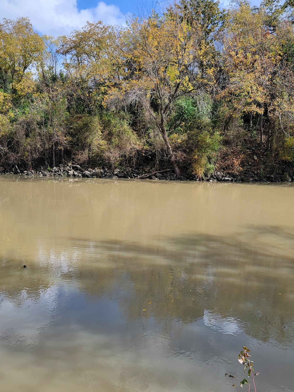Bosque Brazos Confluence - Image 1