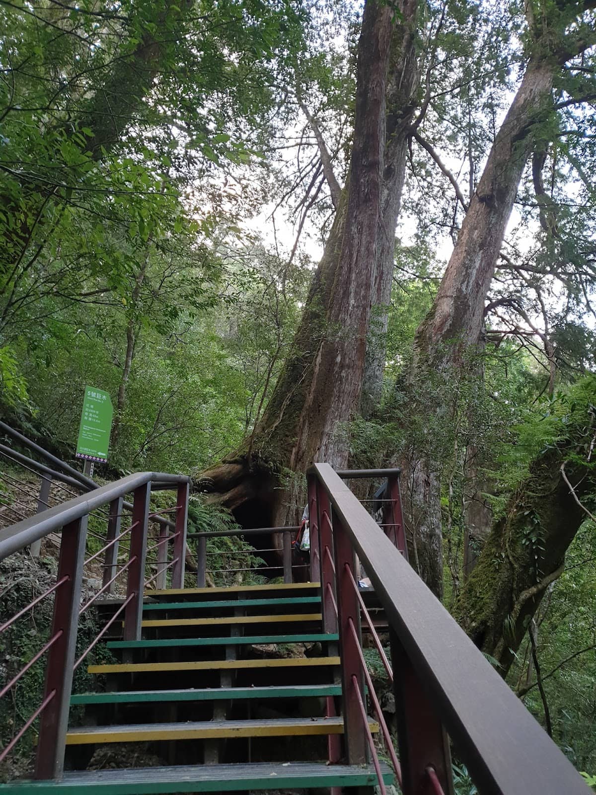 Refreshing Mountain Vistas