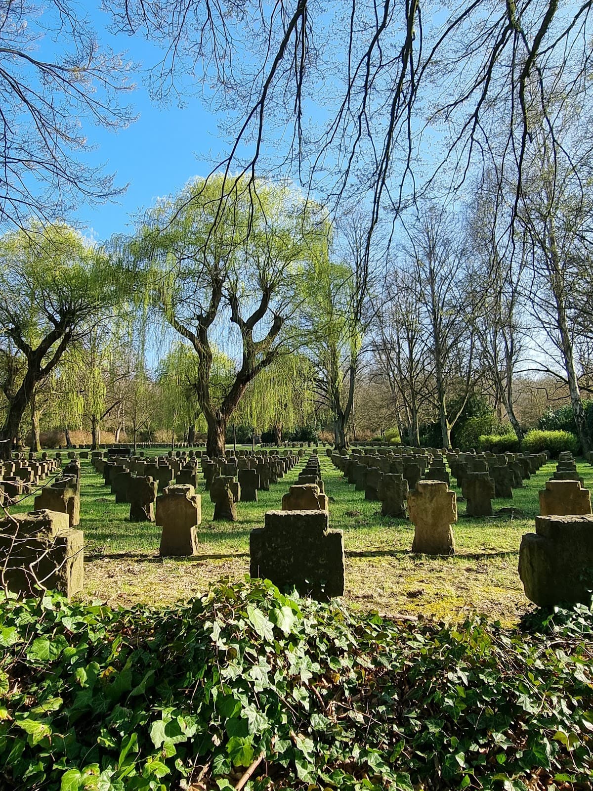 Hauptfriedhof Dortmund - Image 1