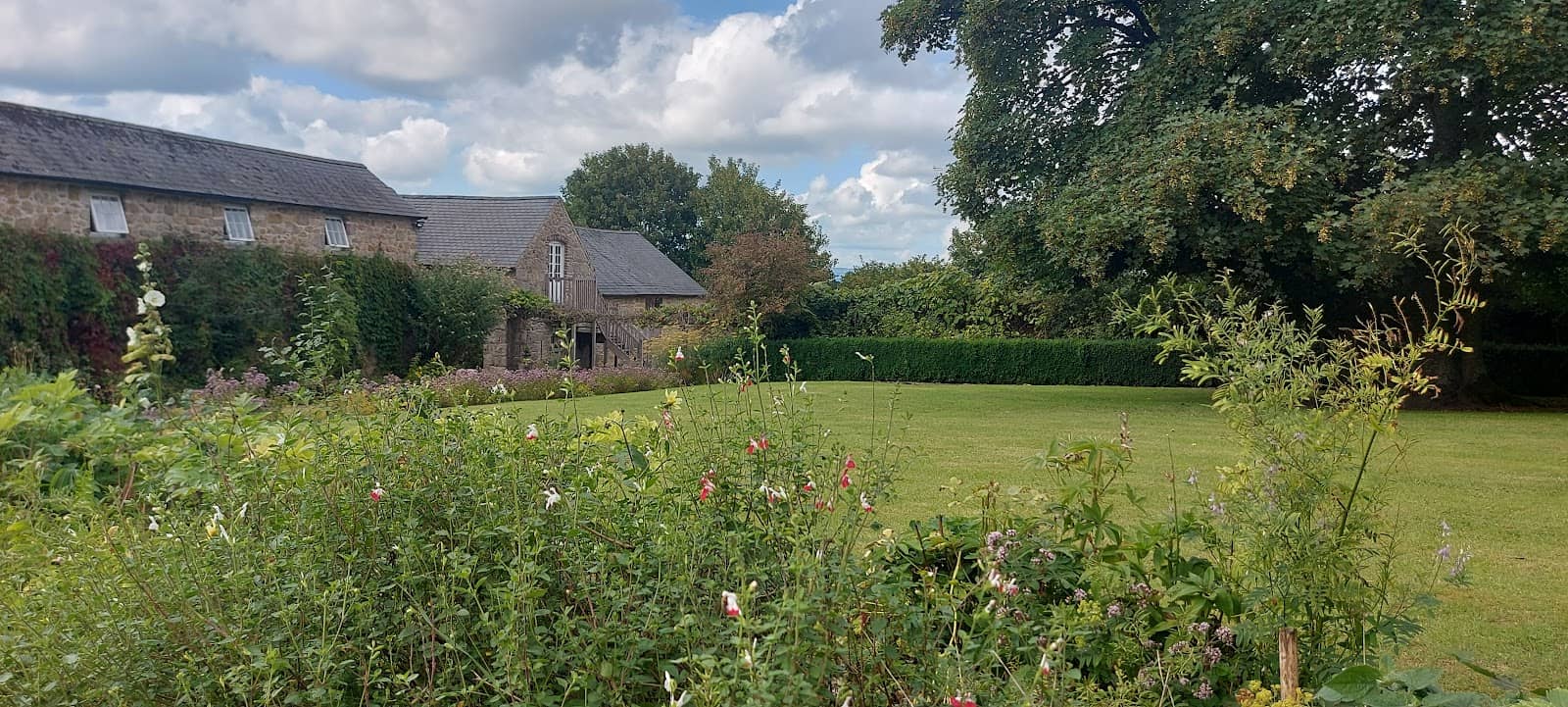 Bucolic Countryside Views