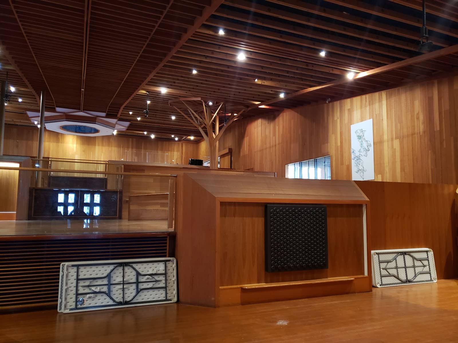 Themed Activity Days