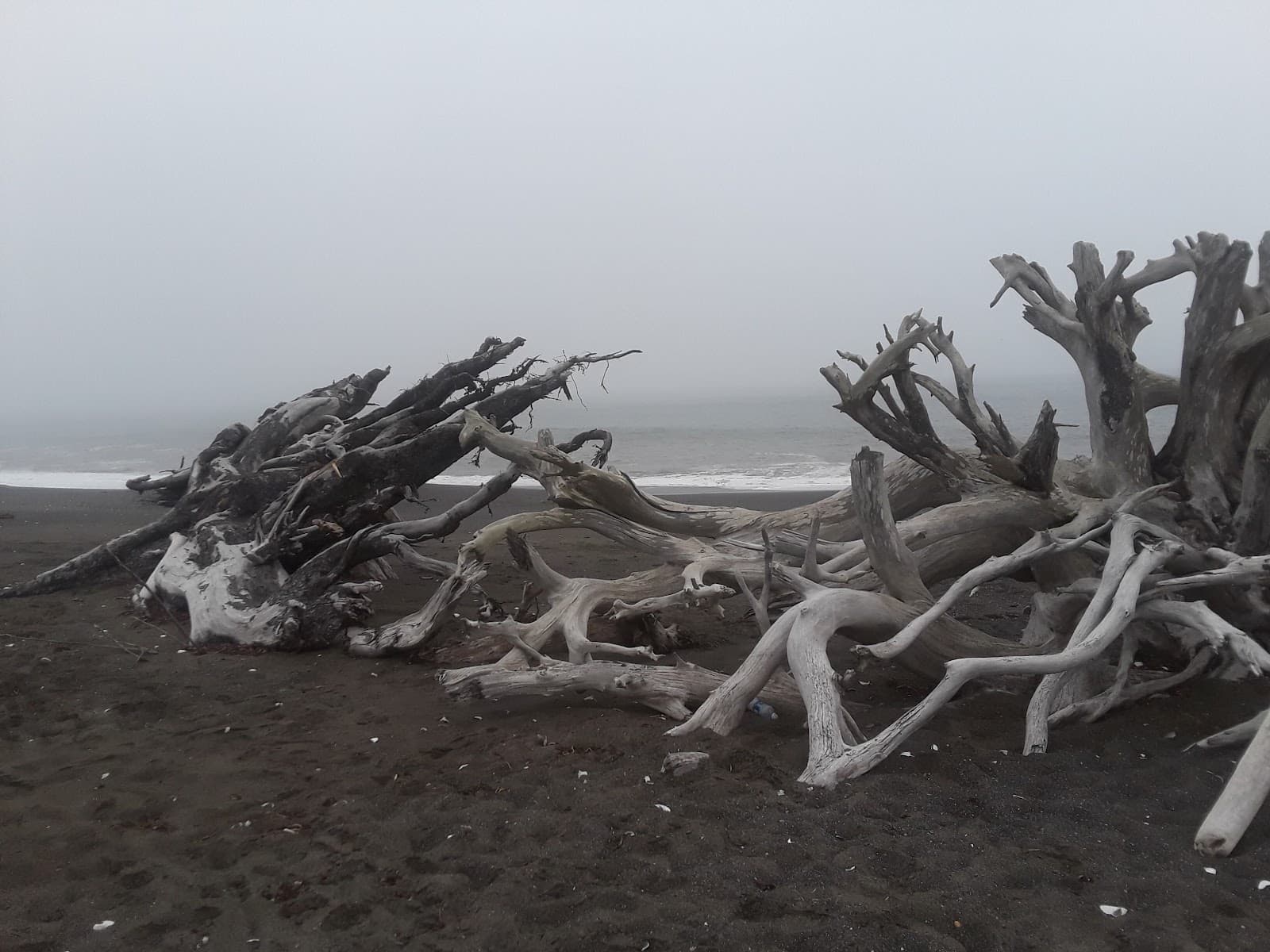 Damon Point - Image 1