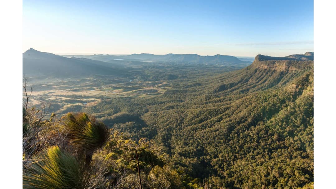 Border Ranges NP: Tweed Range Scenic Drive - Image 1