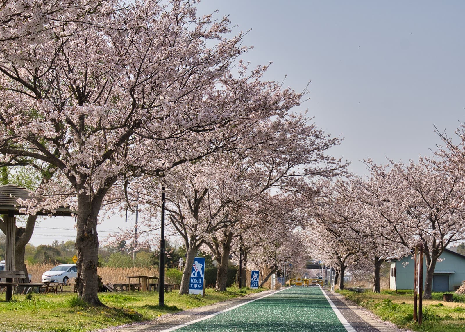 Kasumigaura Ring-Ring Road - Image 1