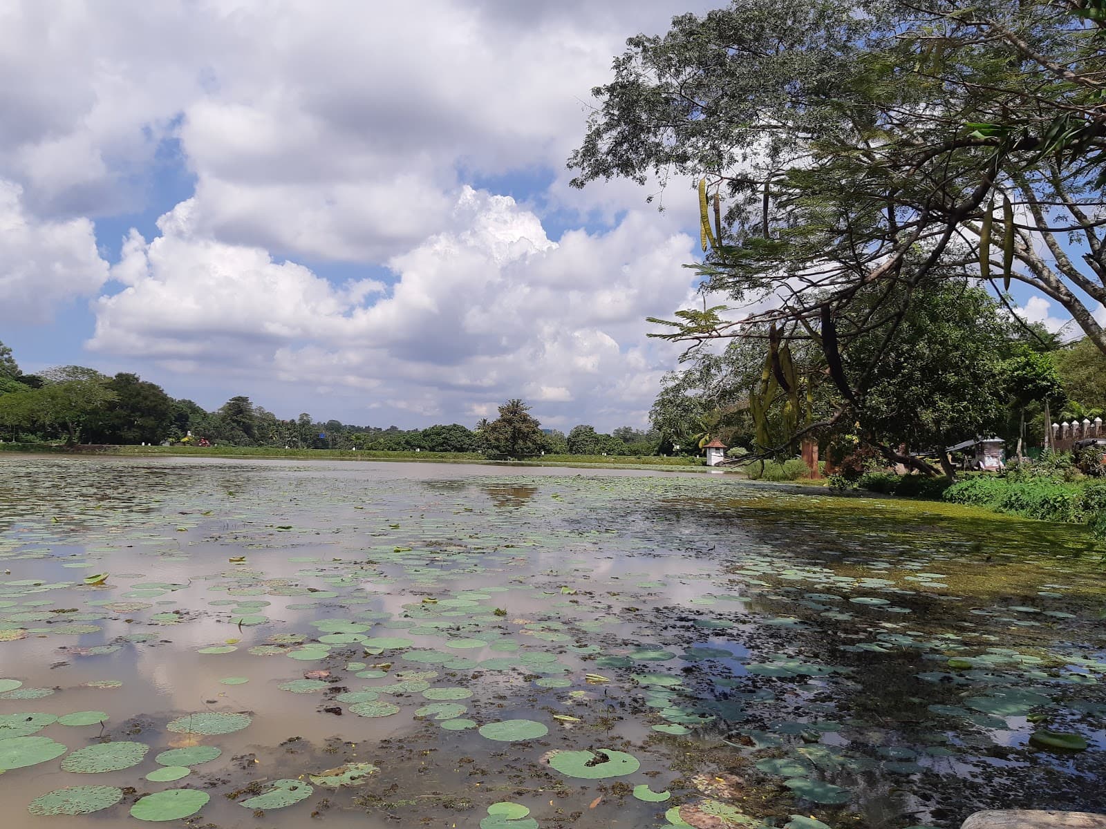 Talangama Wetland - Image 1