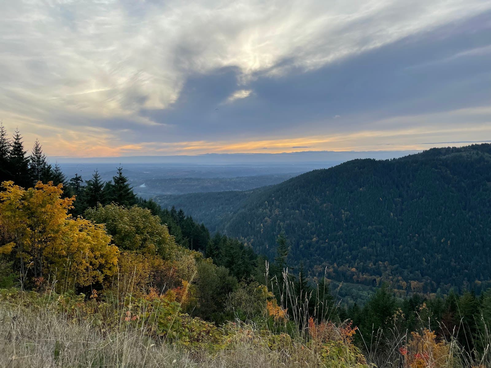 Tiger Mountain State Forest - Image 1