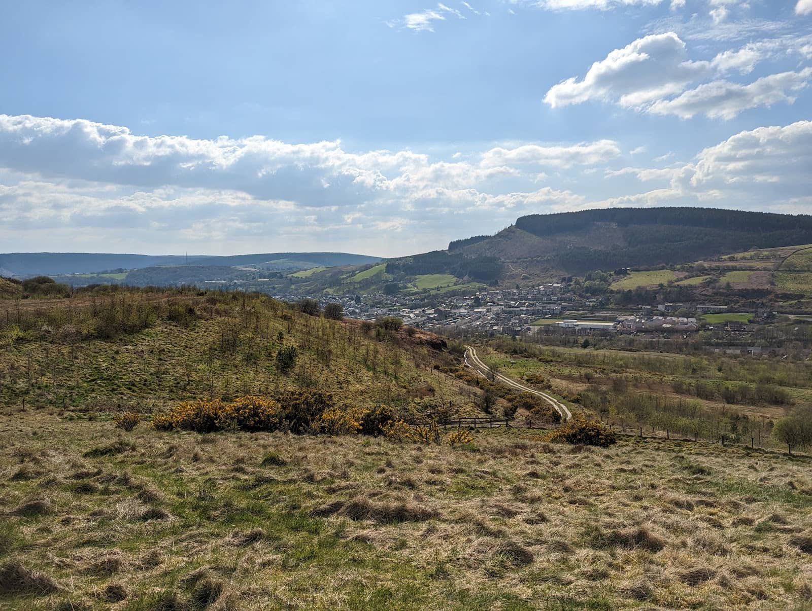Scenic Walking Paths
