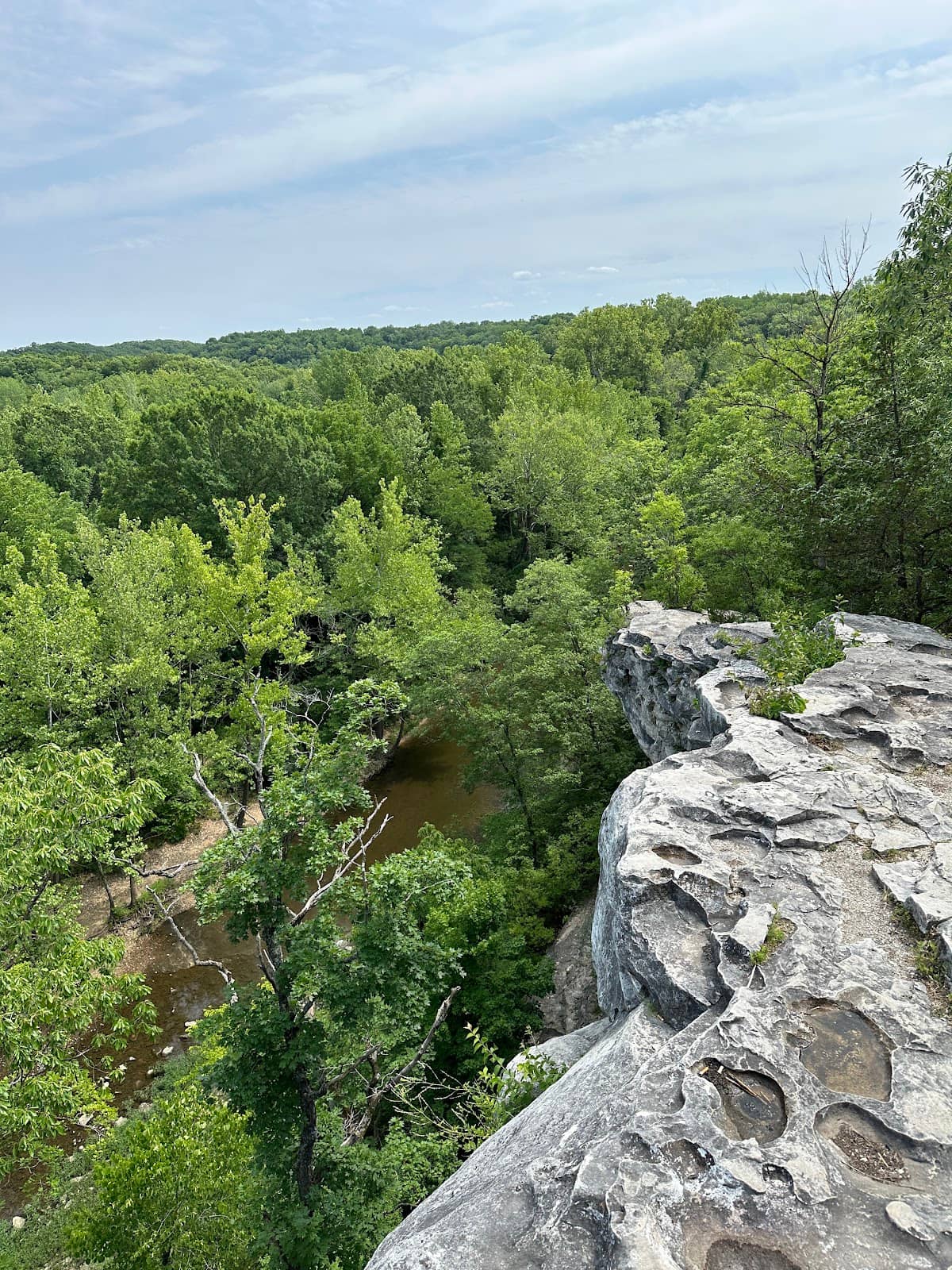 Creek and Natural Scenery