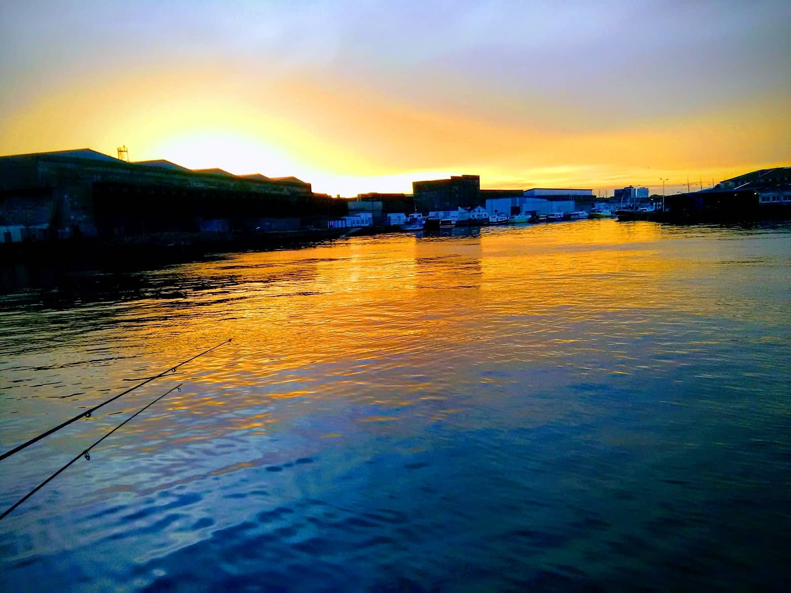 The Billabong Boat Tour