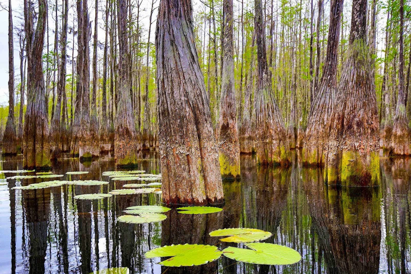 Paddling Trail