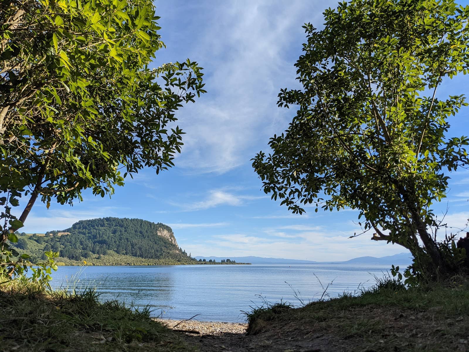 Regenerating Bush Walks
