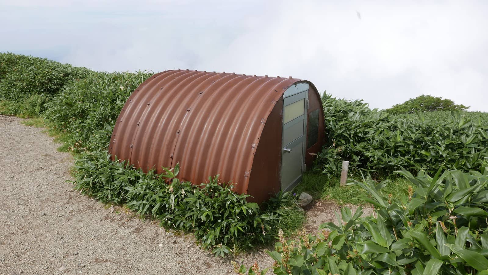Alpine Flower Fields