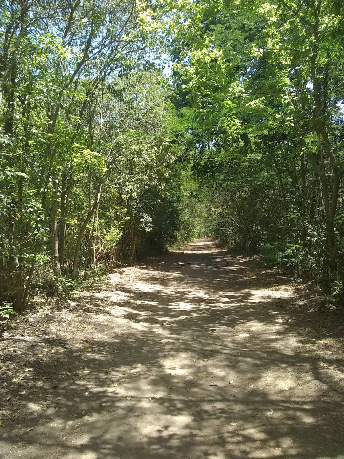 Environmental Education Space