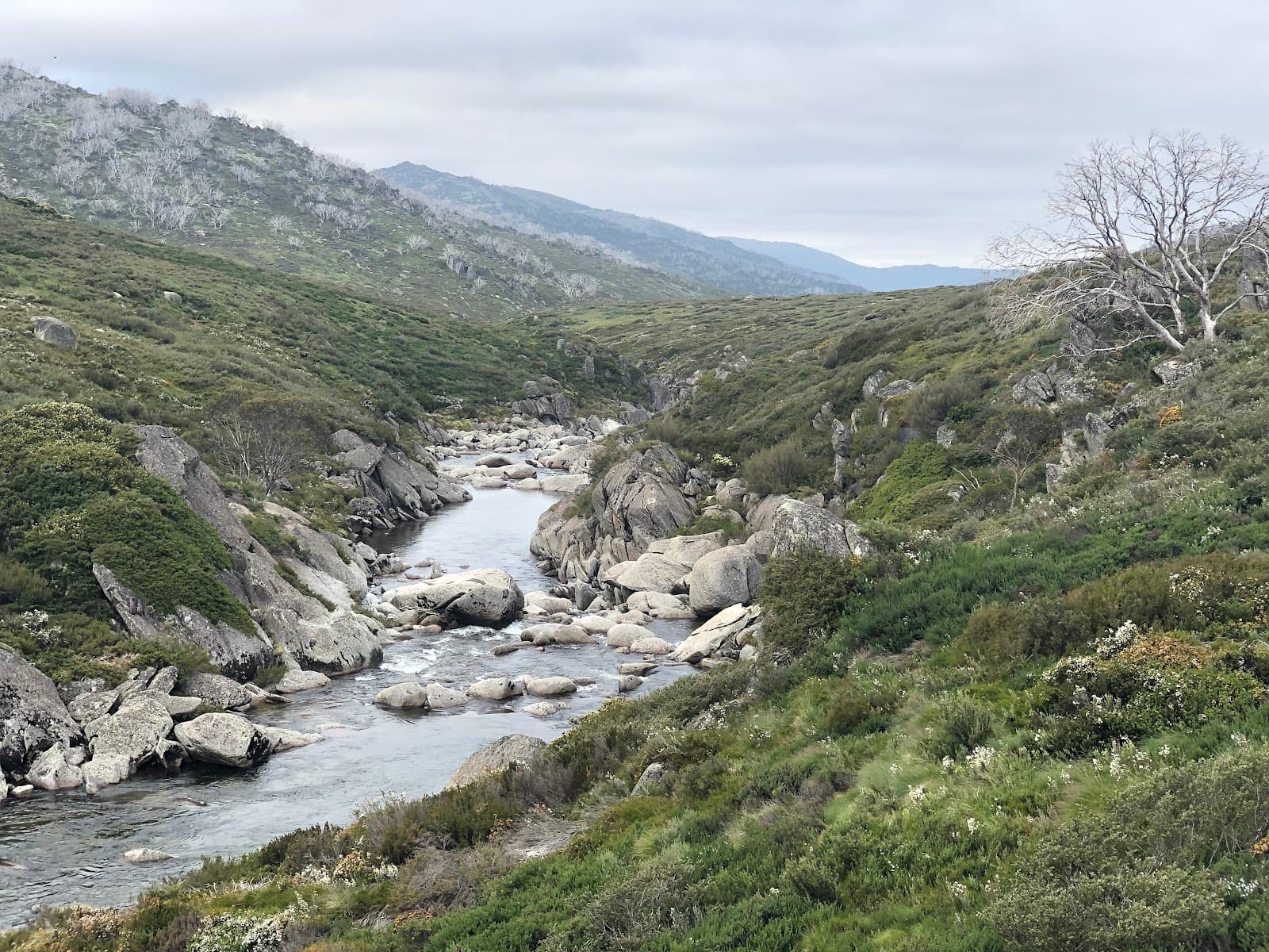 Illawong Walk - Image 1