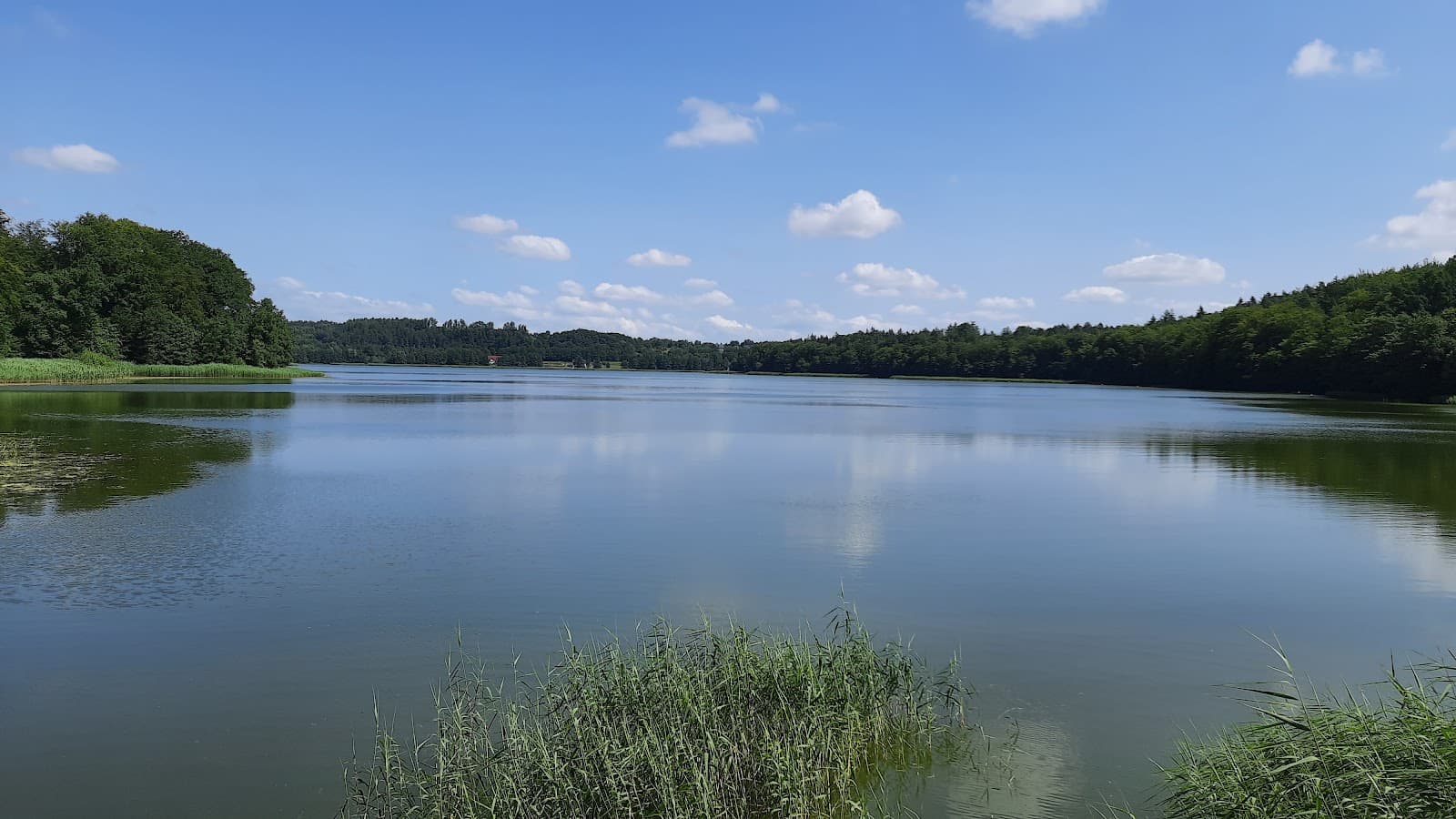 Lake Klasztorne Kartuzy - Image 1