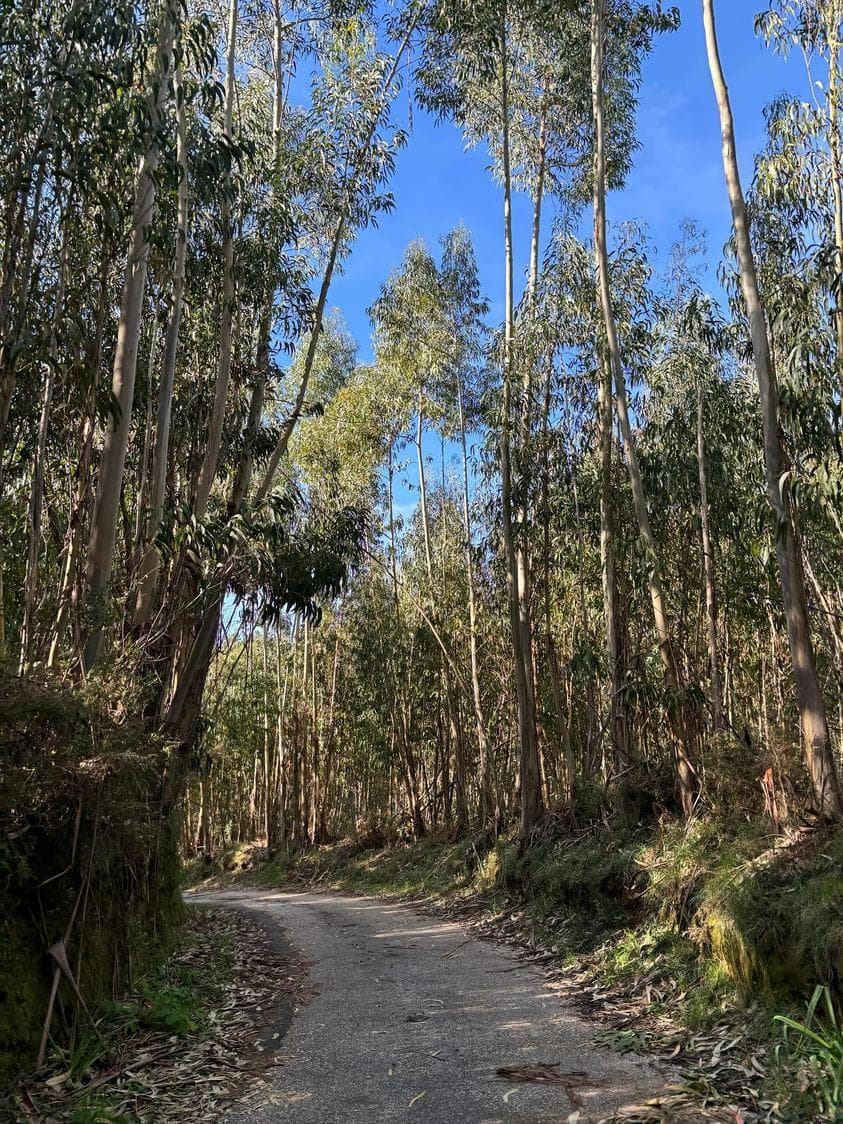 Via Algarviana Terminus Algarve - Image 1