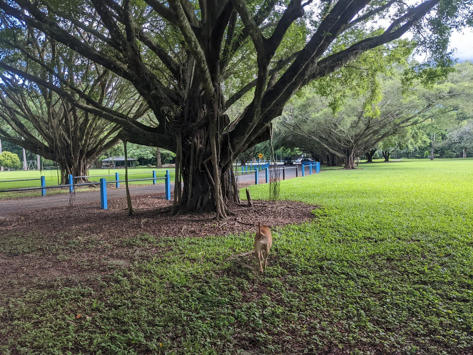 Goomboora Park - Image 1