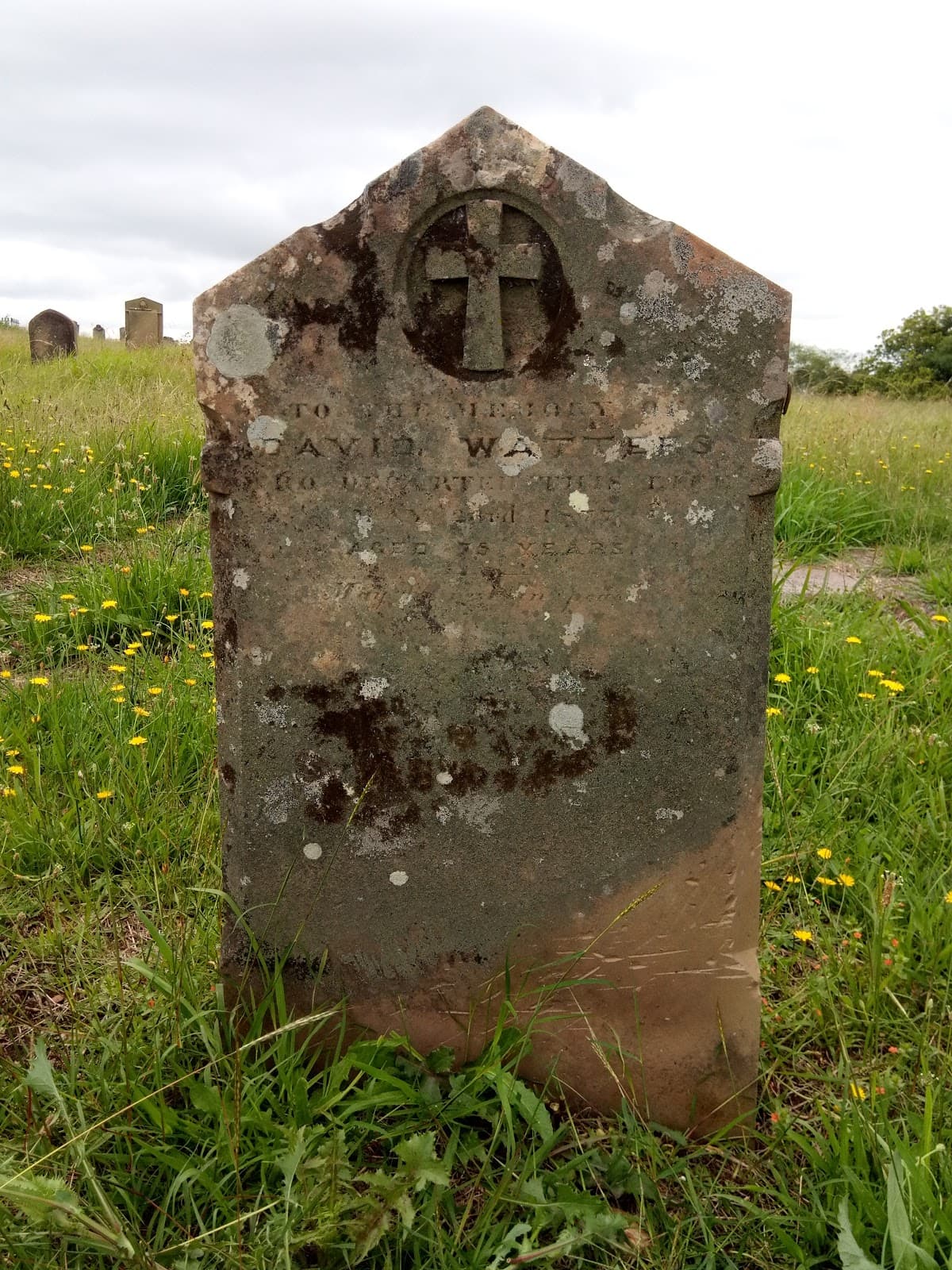 East Maitland Glebe Cemetery - Image 1