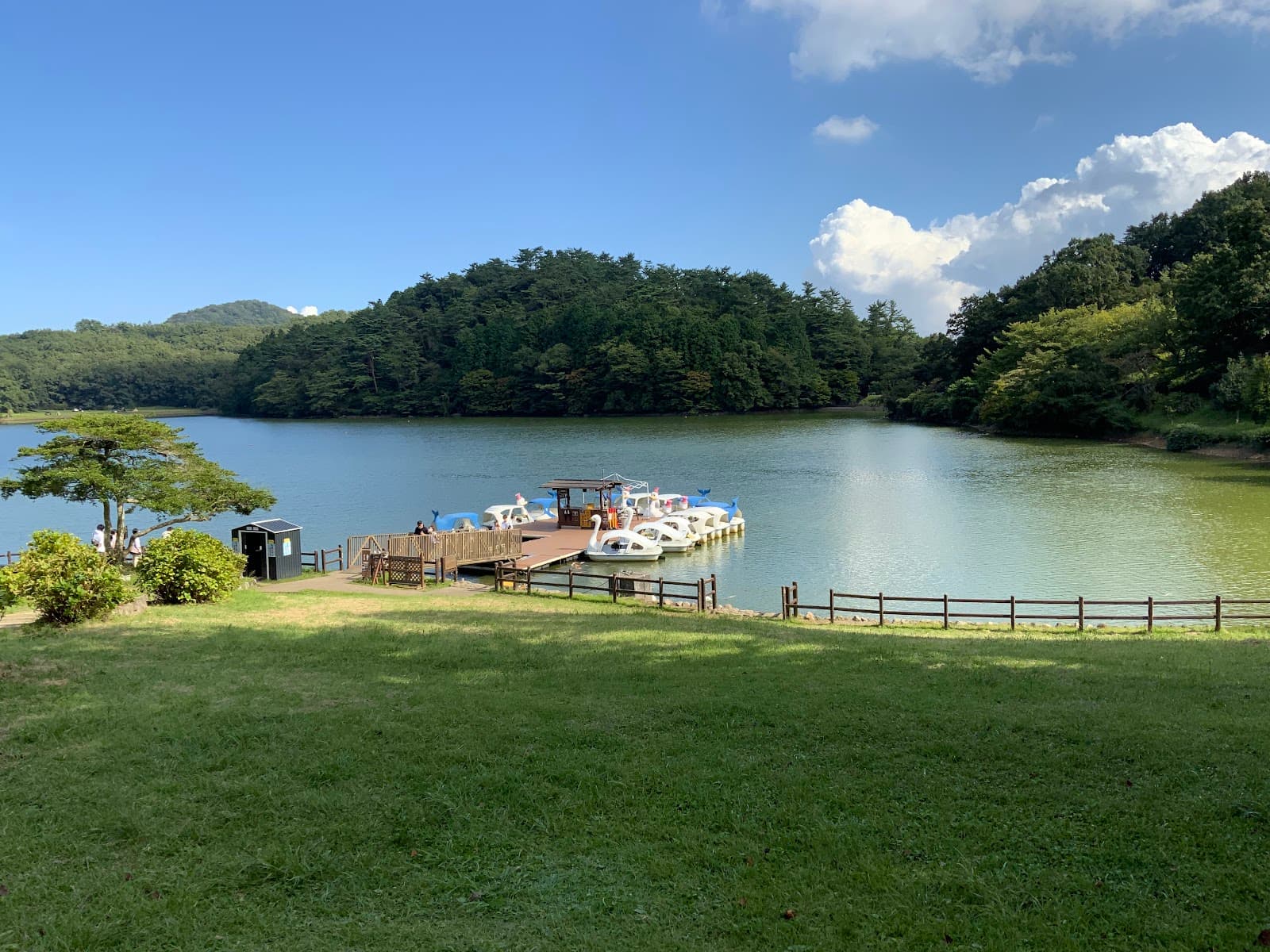 Lake Shidaka - Image 1