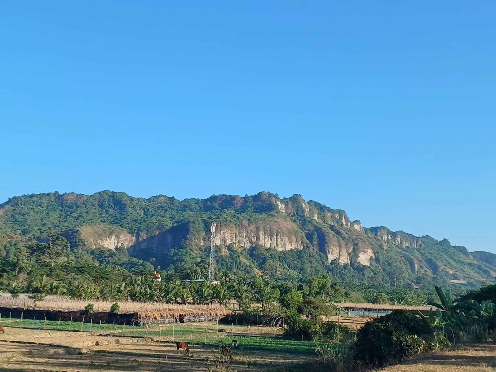 Khuniapalong Reserve Forest - Image 1