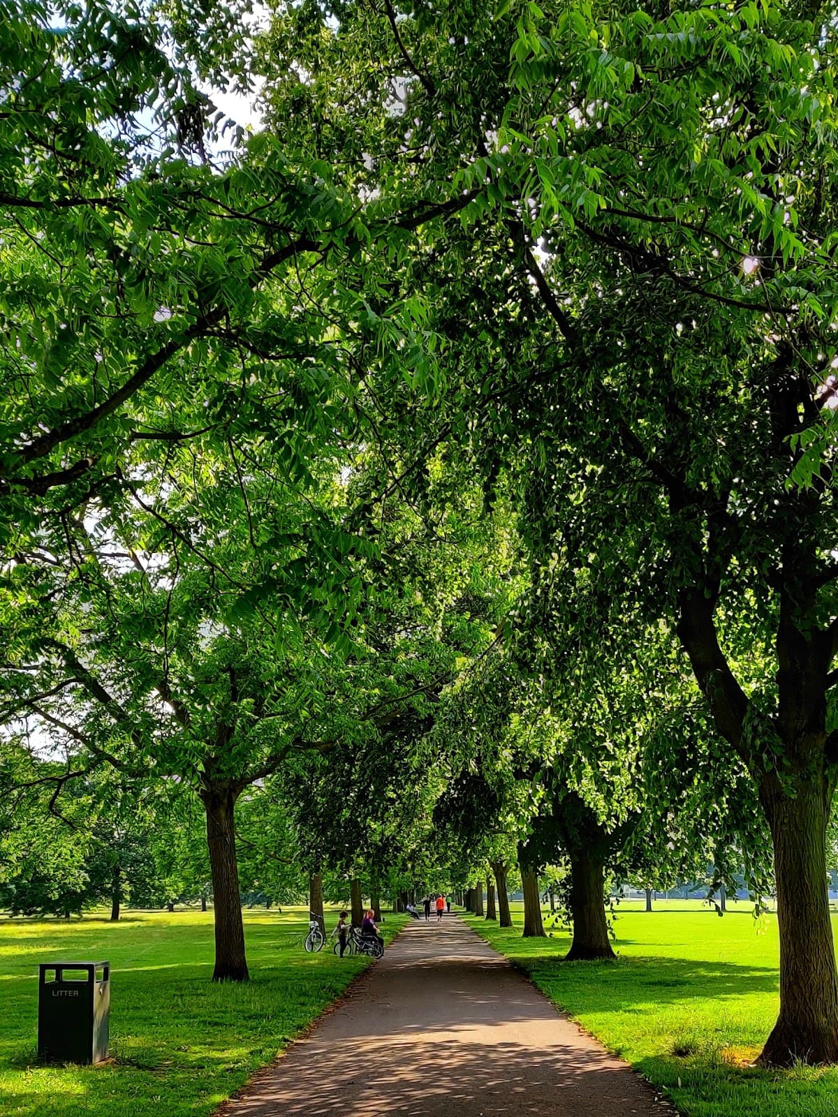 Town Fields - Image 1