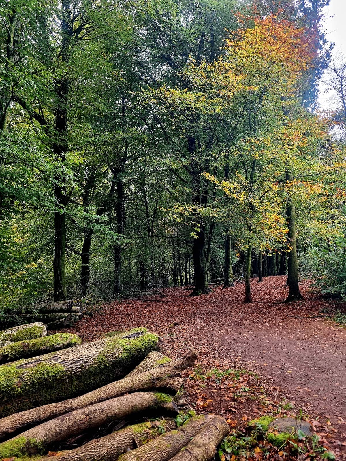 Proximity to Castell Coch