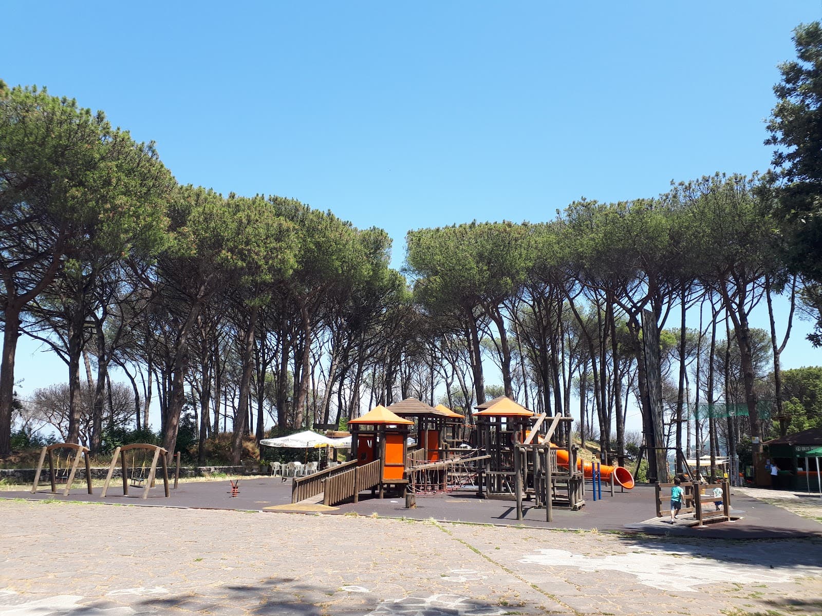 Pineta di Fiaiano - Image 1