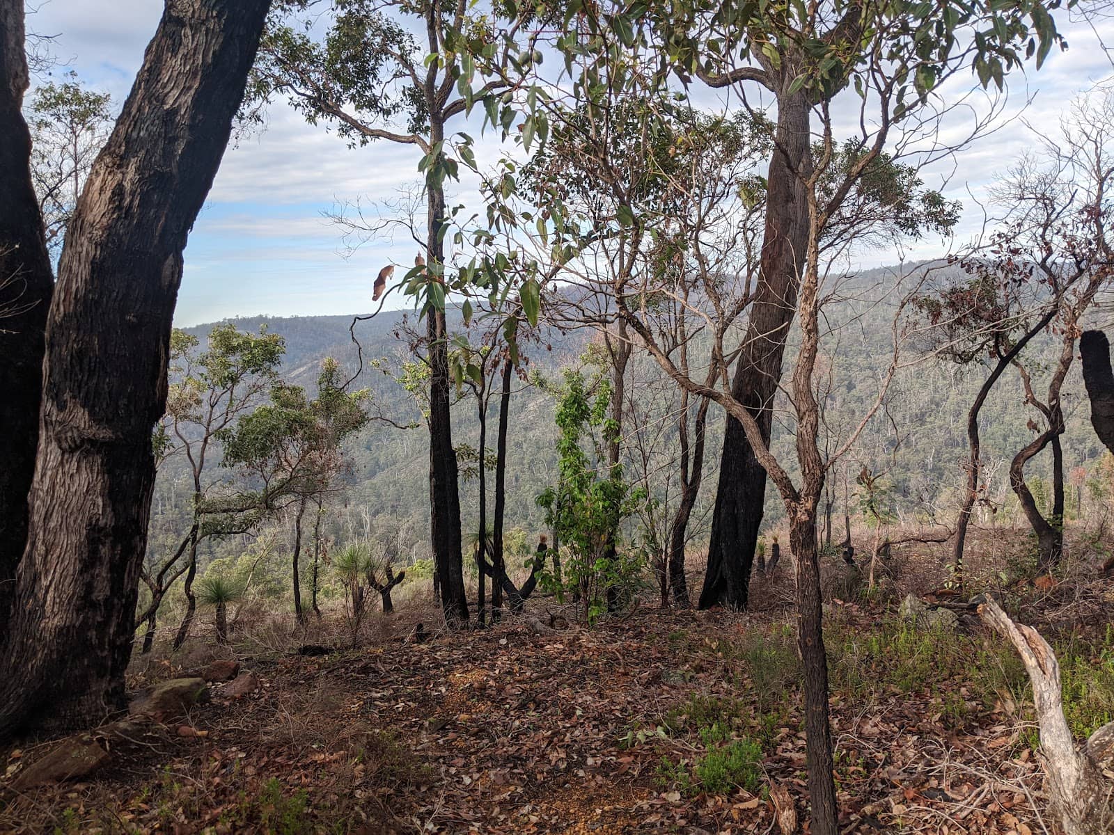 Challenging 4x4 Sections