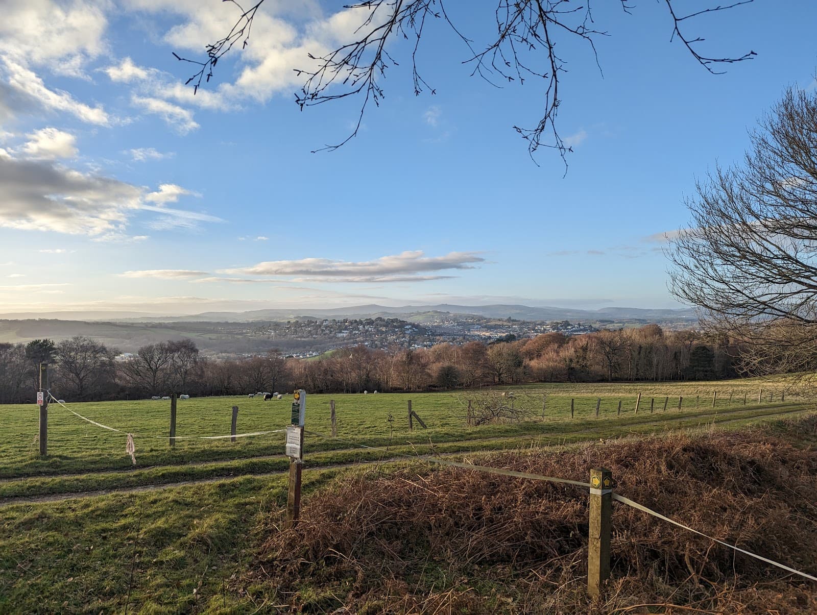 Milber Down Hillfort - Image 1