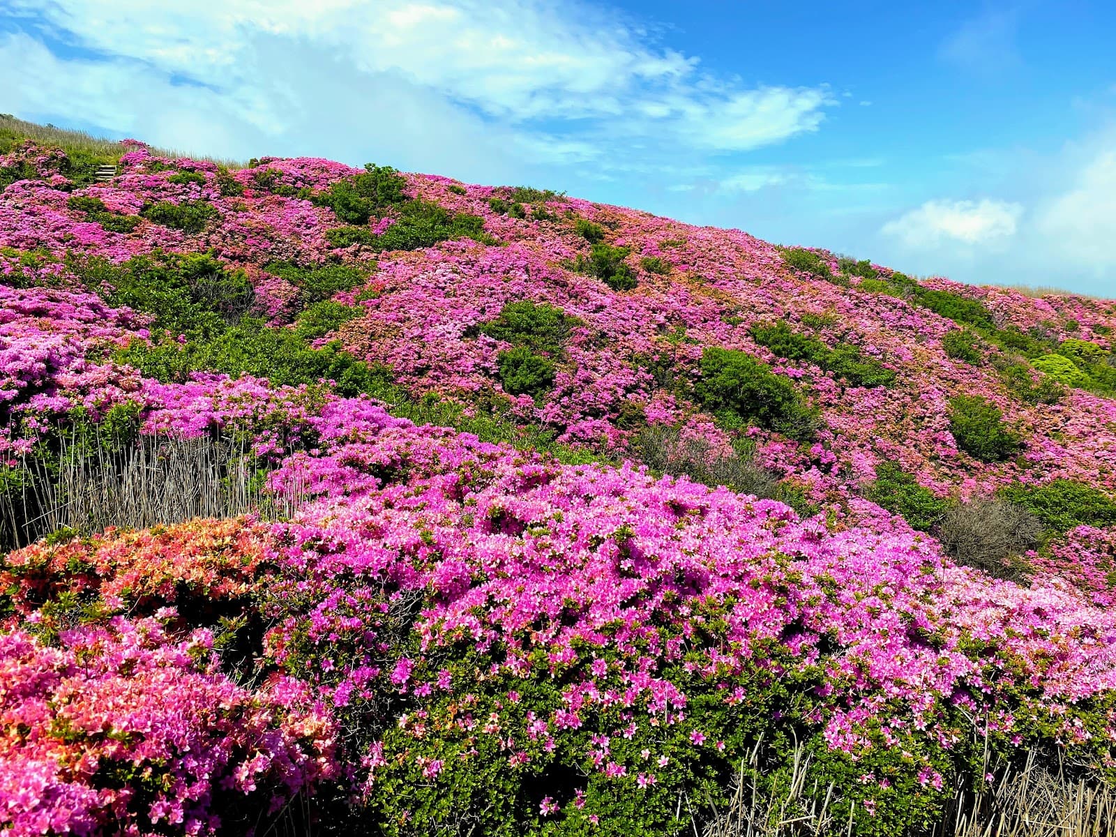 Eboshidake - Image 1