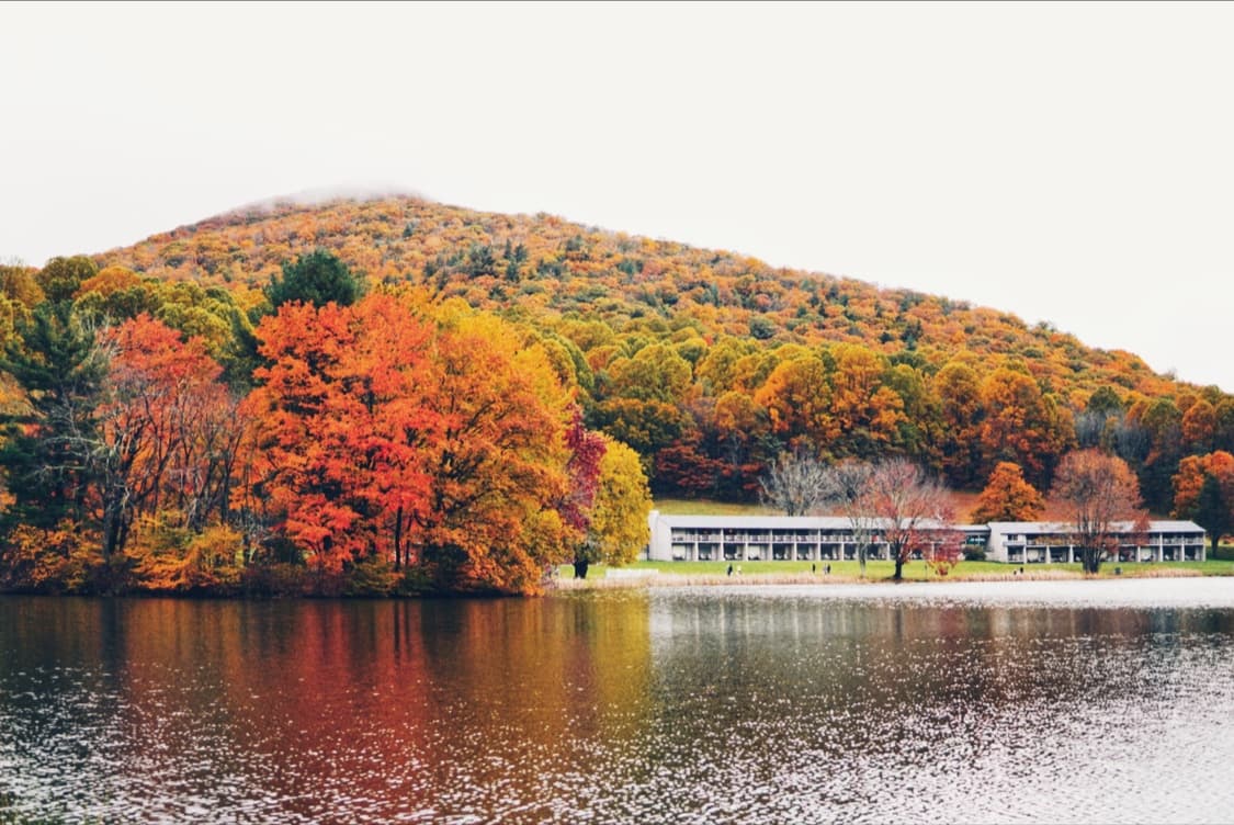 Abbott Lake - Image 1