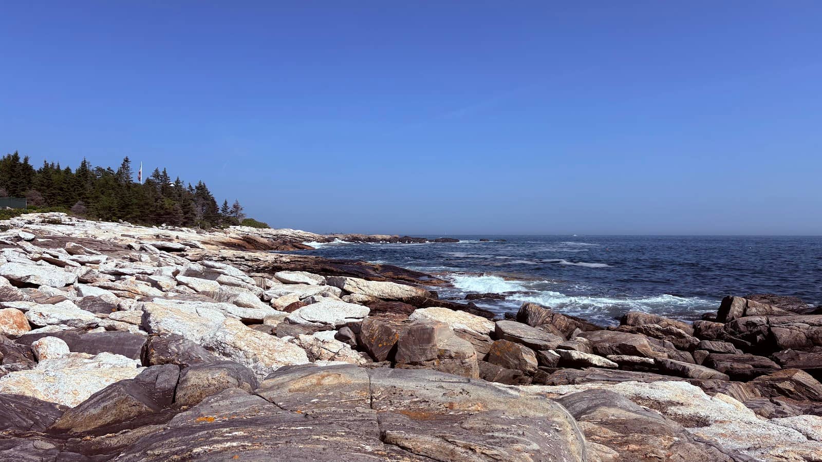 Rocky Shoreline Exploration