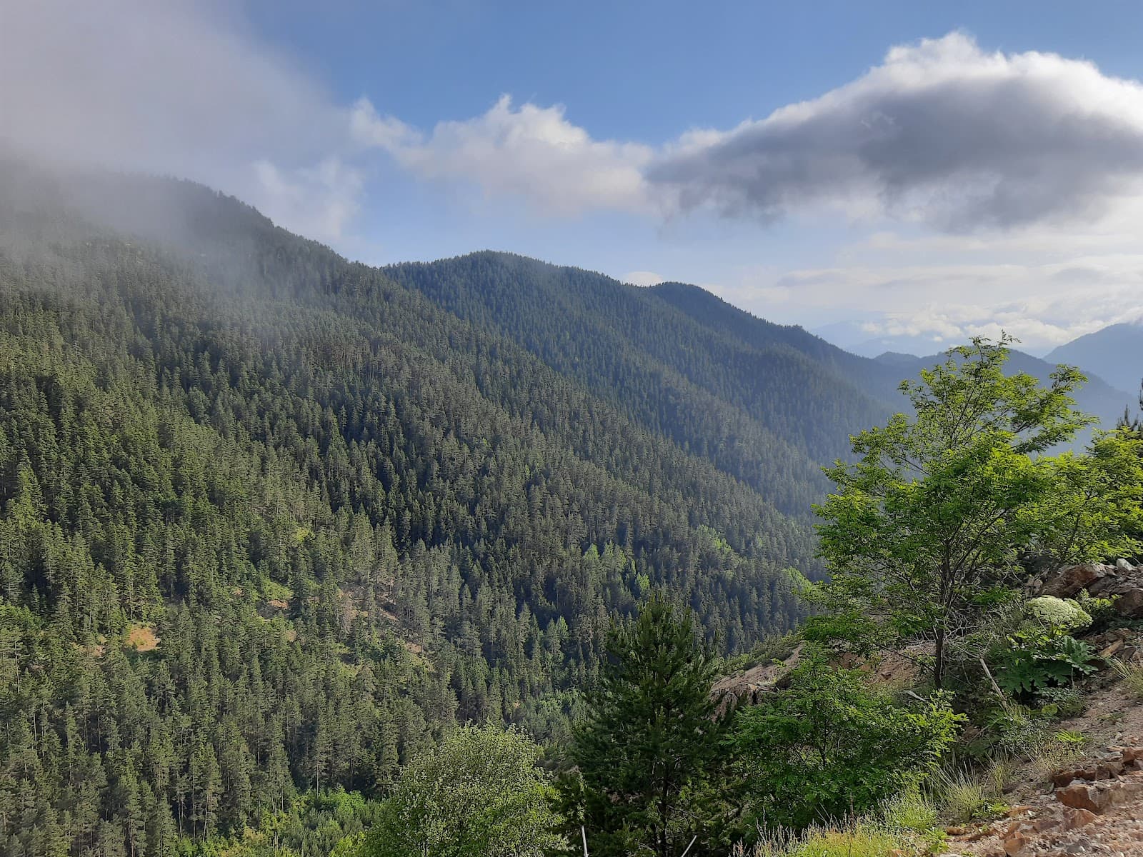 Zigana Pass Turkey - Image 1
