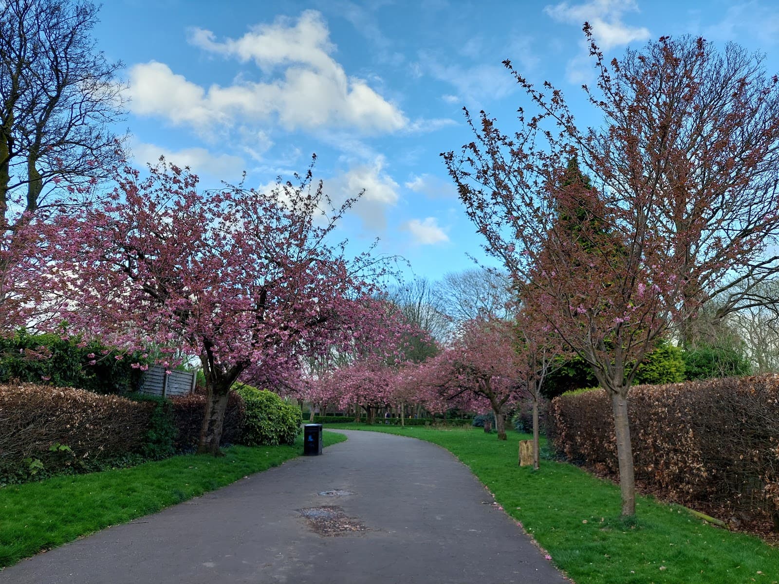Victoria Park Stretford - Image 1