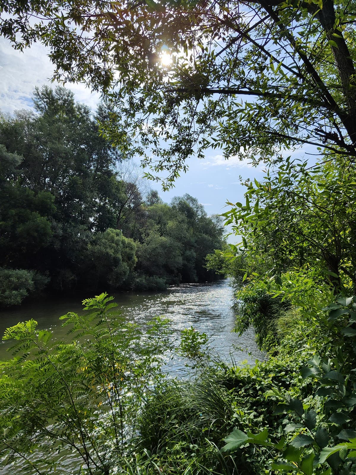 Nišava River Promenade - Image 1