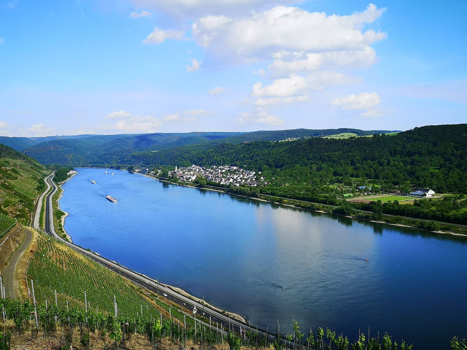 Bopparder Hamm Wine Trail - Image 1