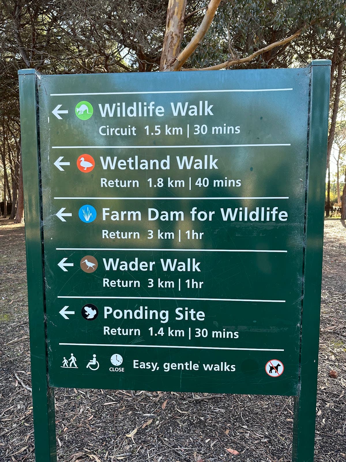 Serendip Sanctuary - Image 1