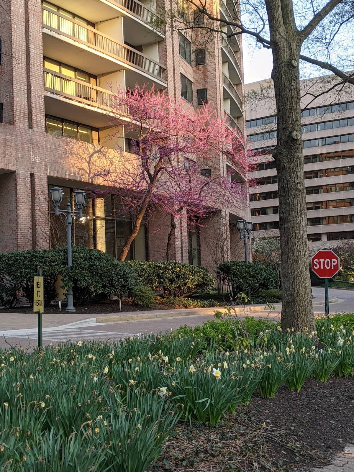 Alamo Drafthouse Cinema