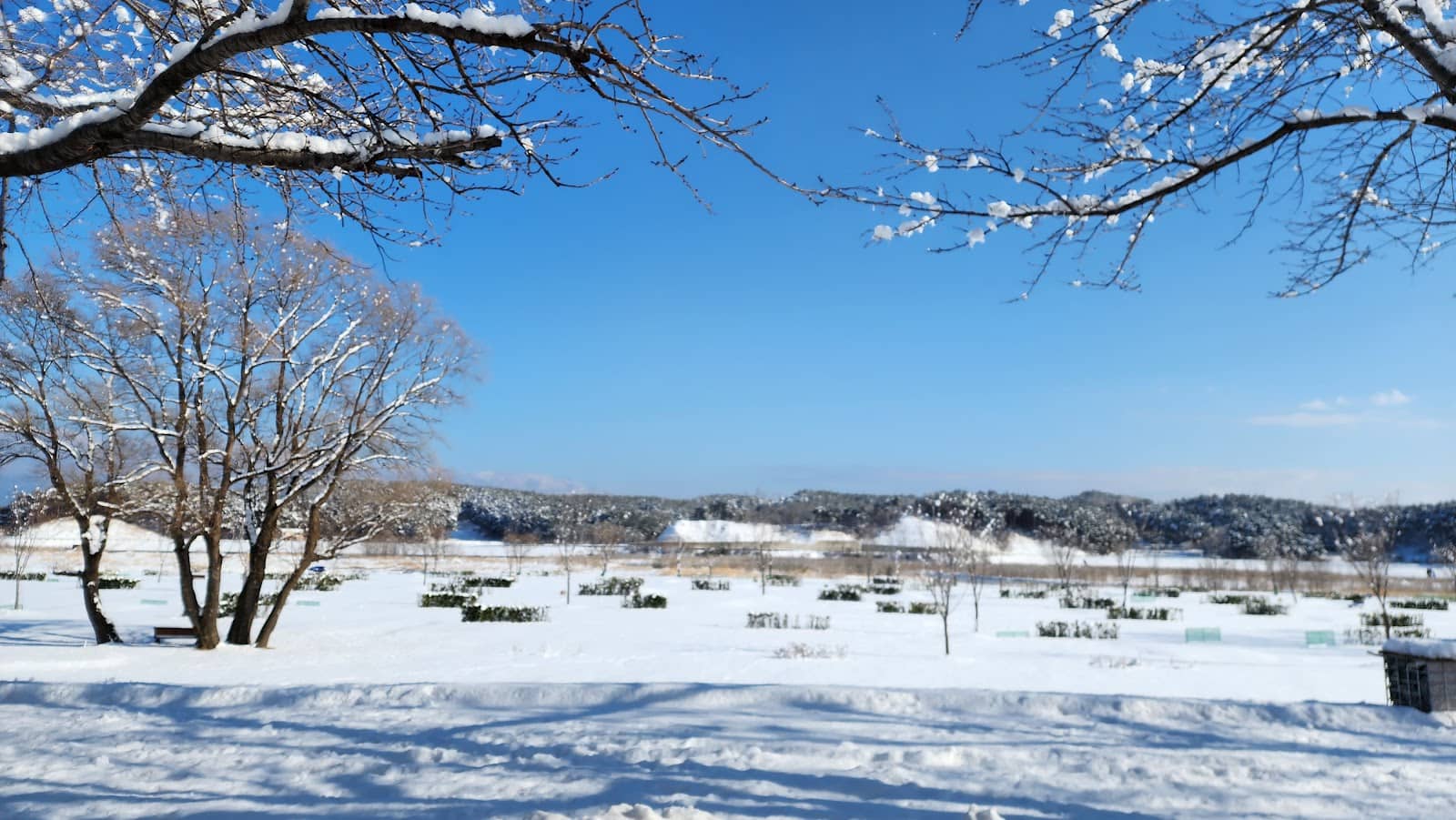 Biodiversity Hotspot