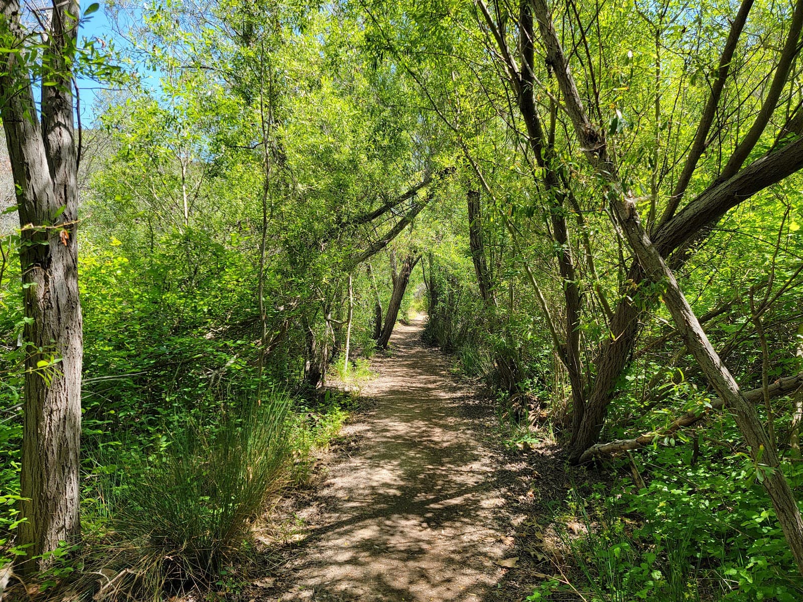 Buck Gully Reserve - Image 1