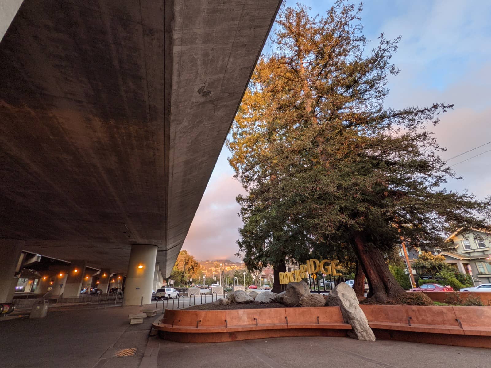 Vertical photo