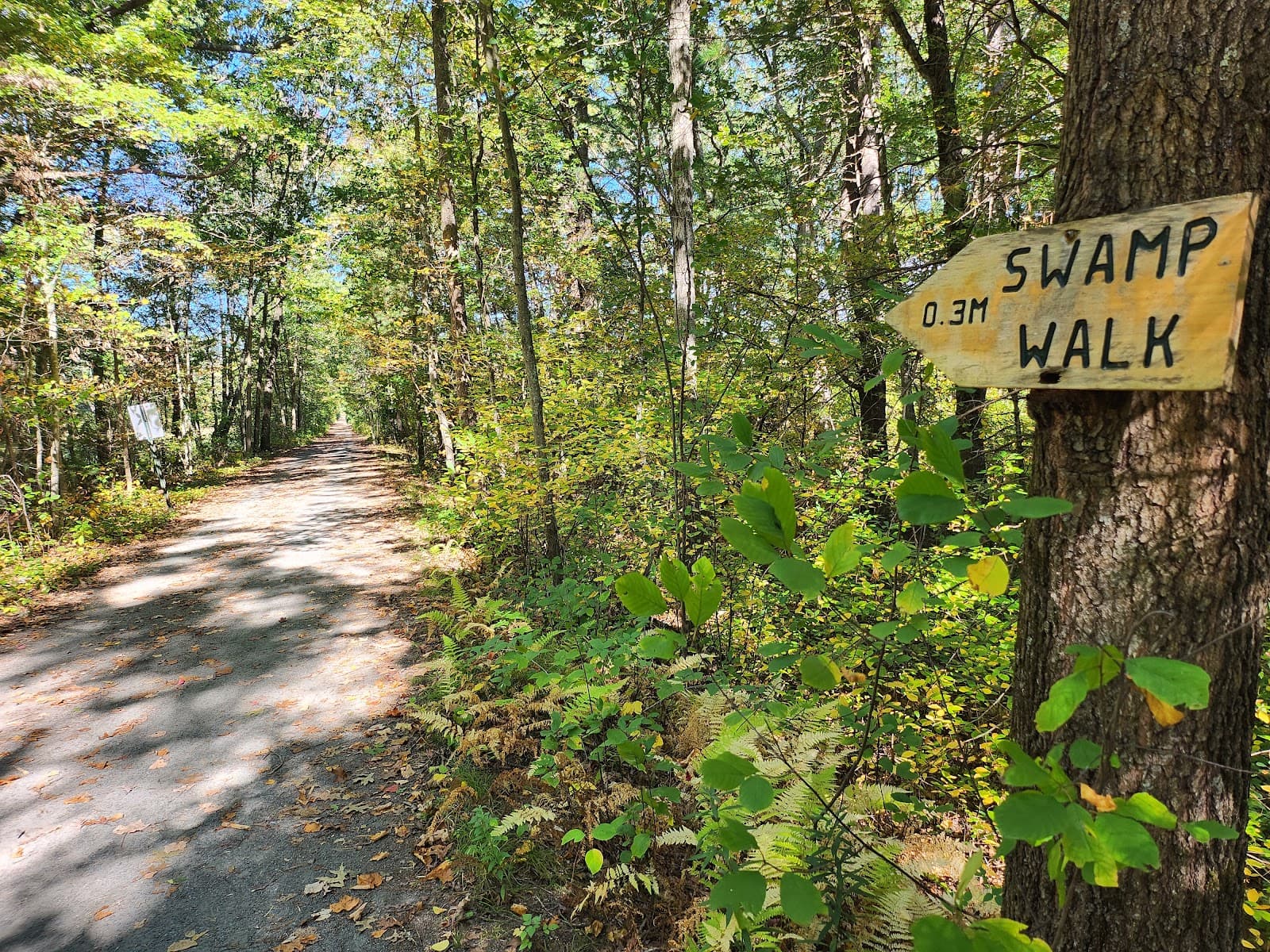 Choate Farm Conservation Area - Image 1