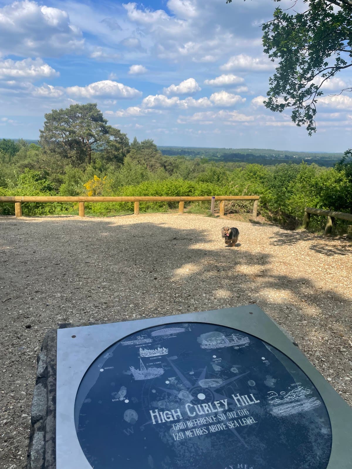 Lightwater Country Park - Image 1