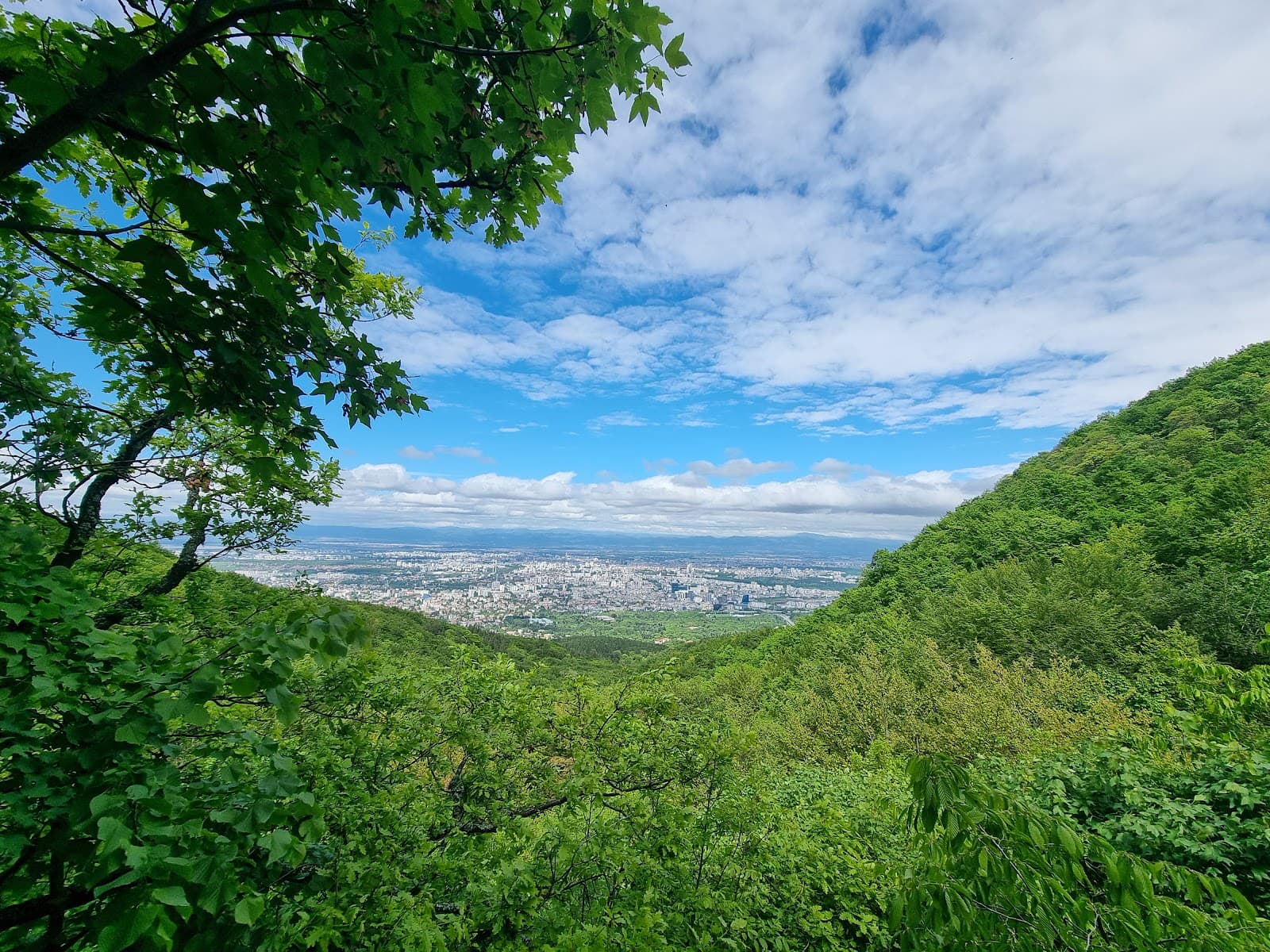 Vitosha Nature Park - Image 1